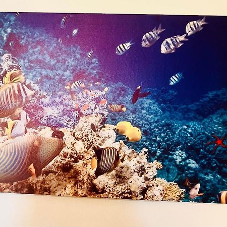 Casa Vacanza Cuto Bagheria Exteriör bild